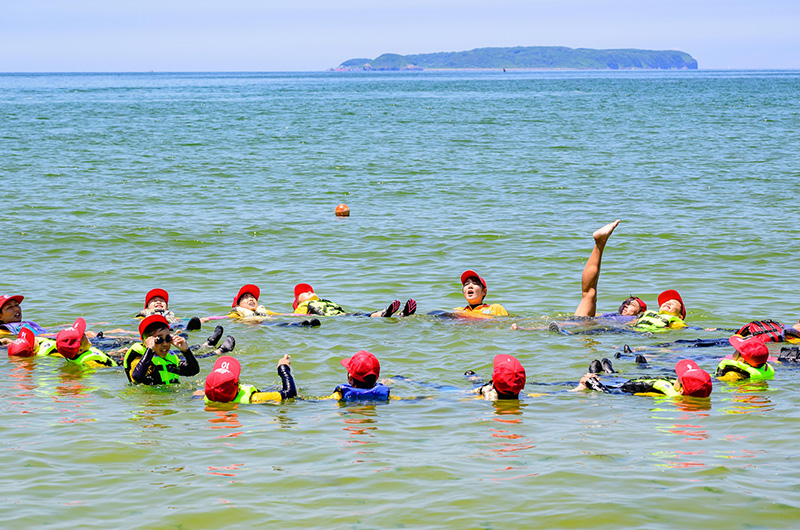 子どもたちの海辺学習の様子